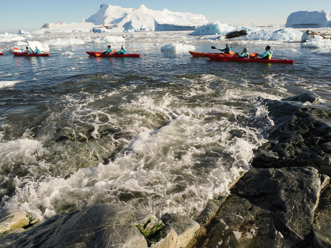 OTL30b26, Day 7, APMG9382.JPG © Andy Perkins - Oceanwide Expeditions.JPG