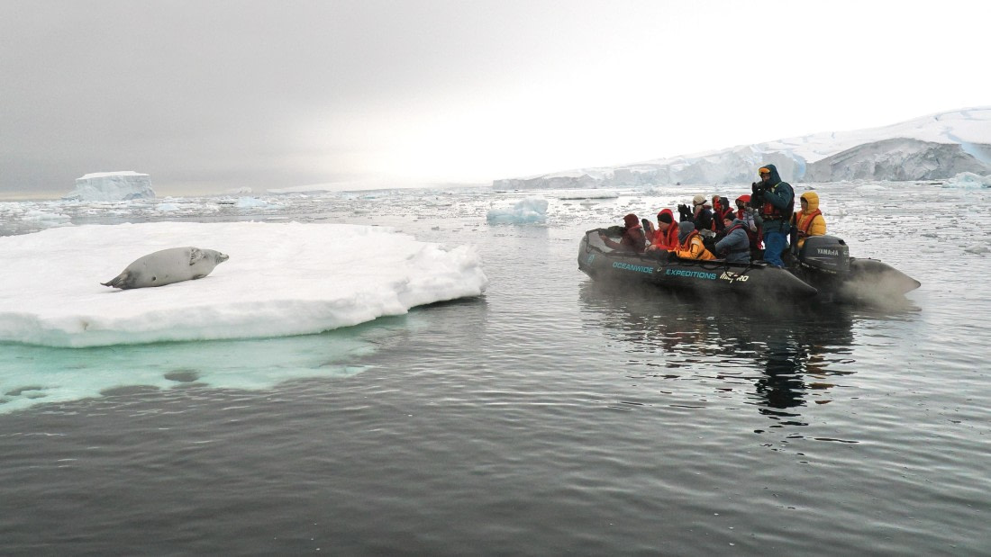 OTL30b26, Day 8, APMG9485.JPG © Andy Perkins - Oceanwide Expeditions.JPG