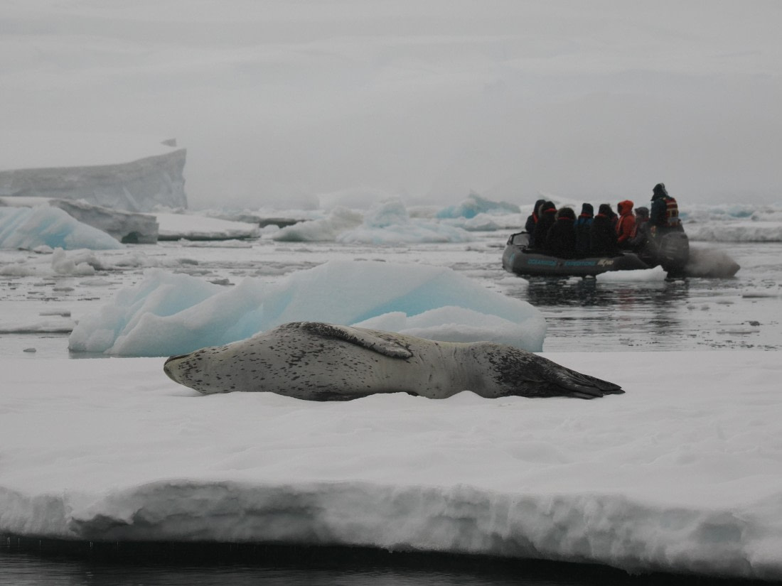 OTL30b26, Day 8, APMG9512.JPG © Andy Perkins - Oceanwide Expeditions.JPG