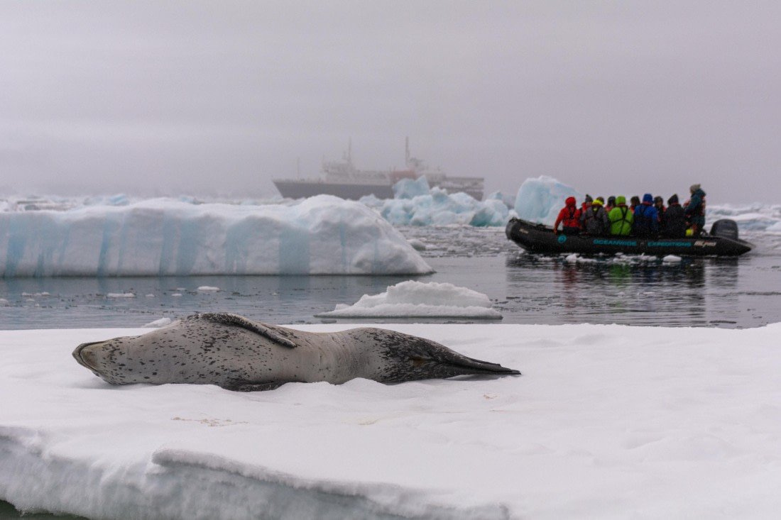 OTL30b26, Day 8, Marco (42).jpg © Marco Rosso - Oceanwide Expeditions.jpg
