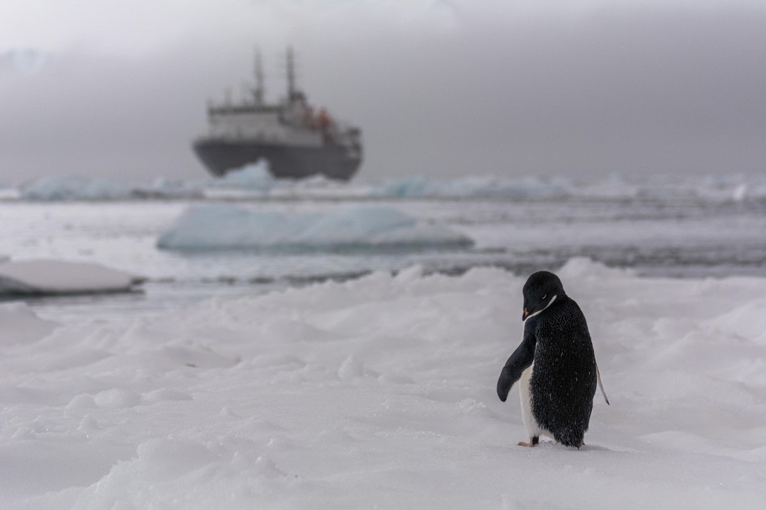 OTL30b26, Day 8, Marco (45).jpg © Marco Rosso - Oceanwide Expeditions.jpg