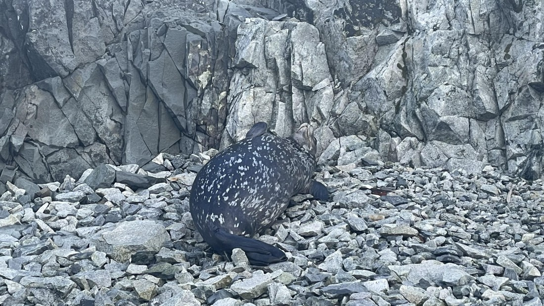 OTL30b26, Day 10, helene (18).JPG © Helene de Meringo - Oceanwide Expeditions.JPG