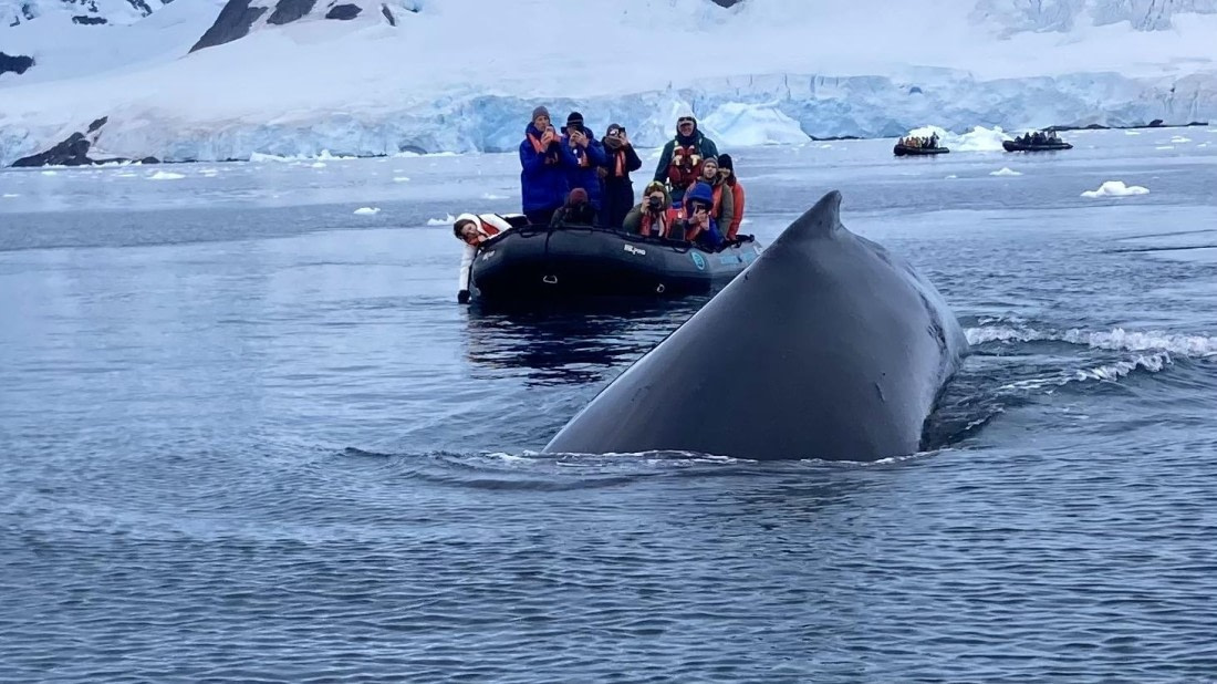 OTL30b26, Day 11, IMG_7843.jpeg © Andy Perkins - Oceanwide Expeditions.jpeg