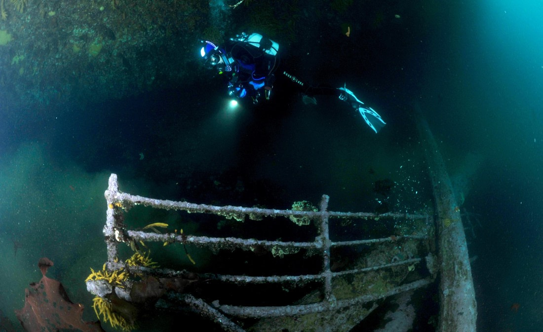 HDS31-26, Diving, 8b5c6a58a0ef28b339b2ce8240afc1e3 © Unknown photographer - Oceanwide Expeditions.JPG
