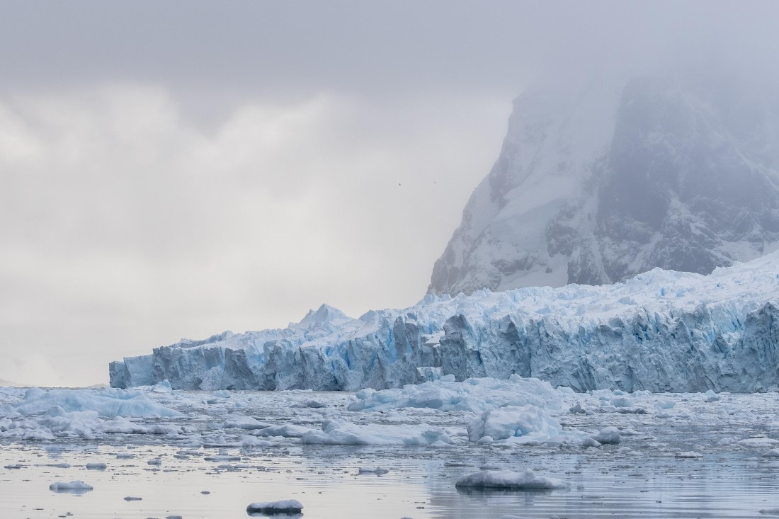 HDS31-26, Day 4, 5D5A1015 © Koen Jongerling - Oceanwide Expeditions.jpg