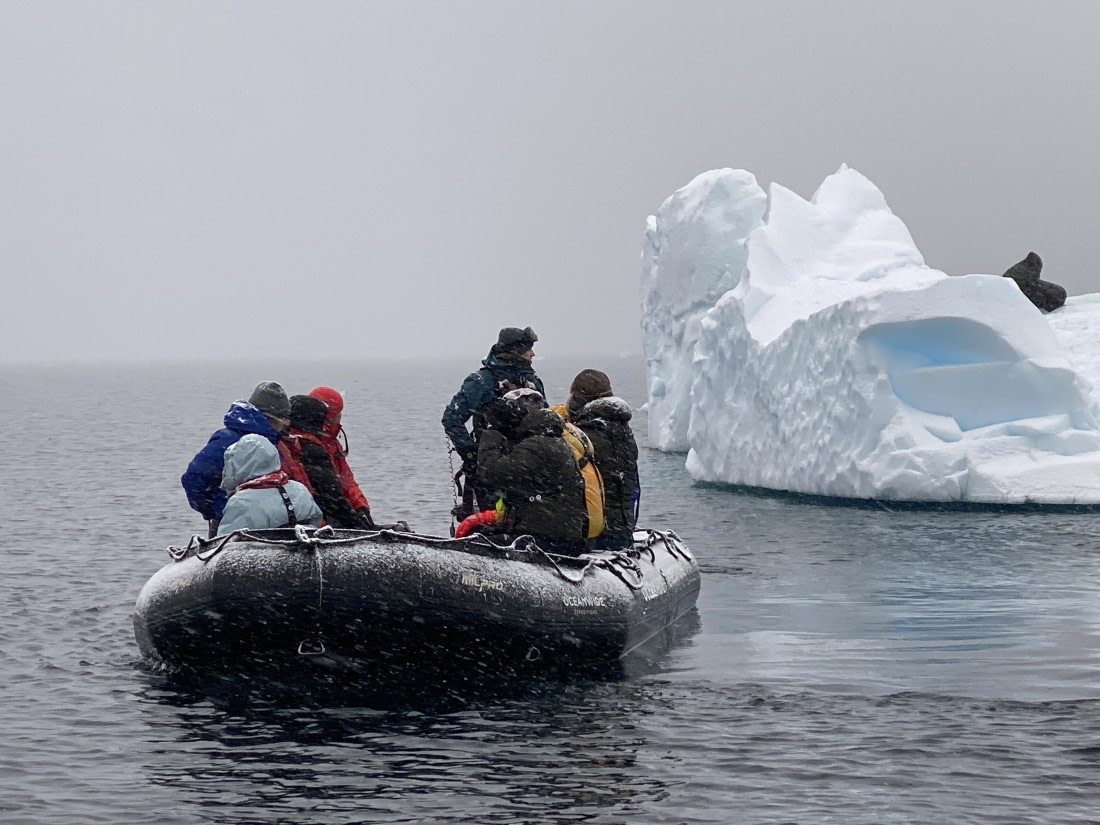 HDS31-26, Day 4, IMG_9838 © Unknown photographer - Oceanwide Expeditions.JPG