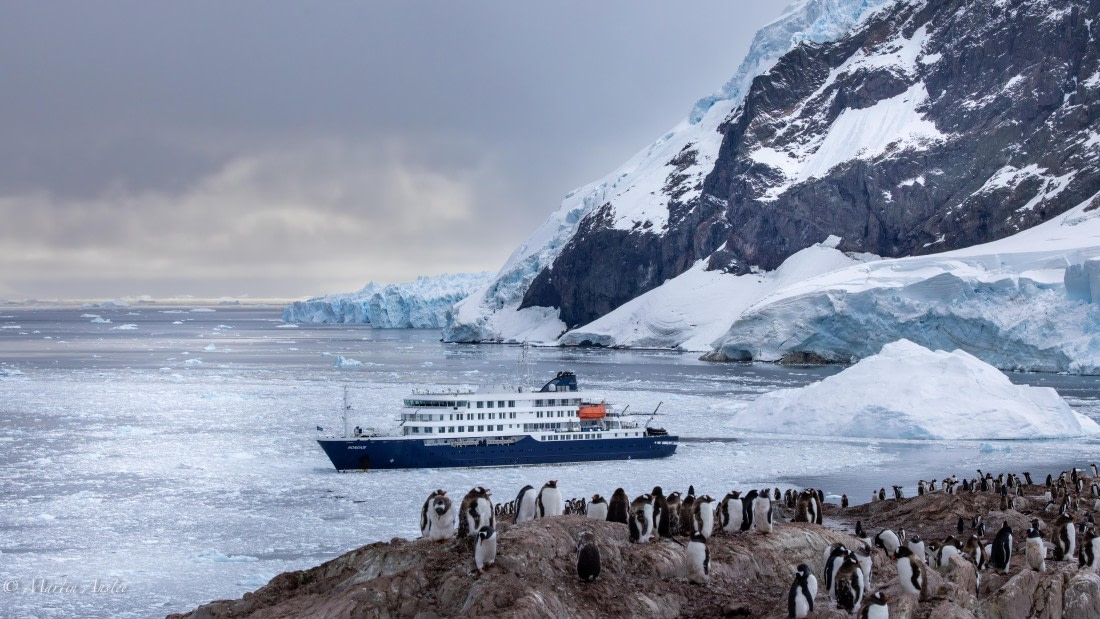 HDS31-26, Day 4, Martin (9) © Martin Anstee - Oceanwide Expeditions.jpg