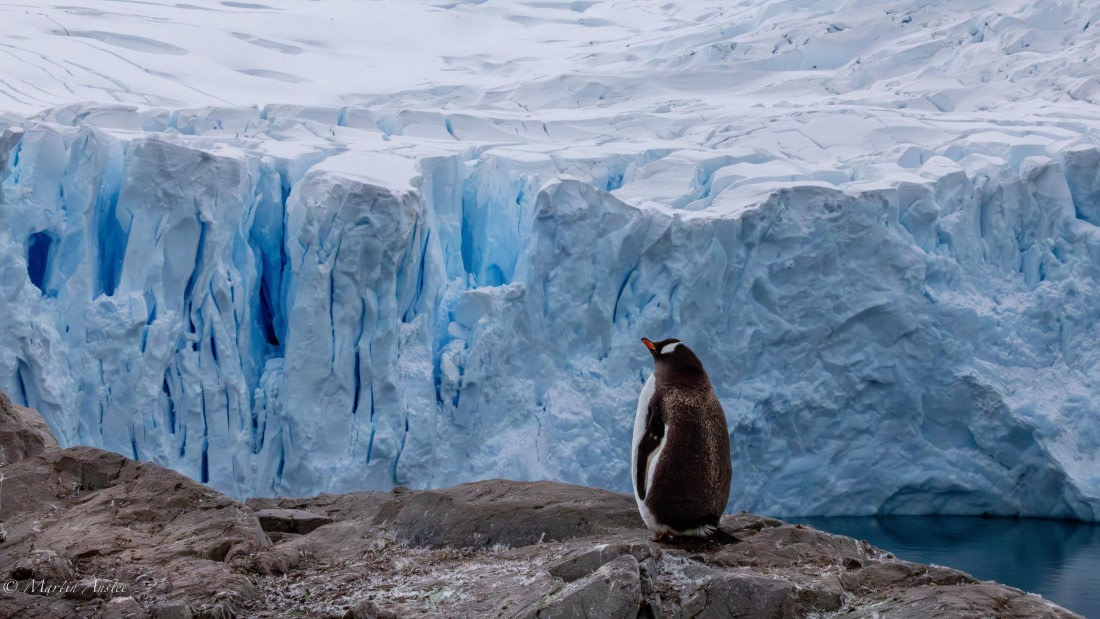 HDS31-26, Day 4, Martin (14) © Martin Anstee - Oceanwide Expeditions.jpg