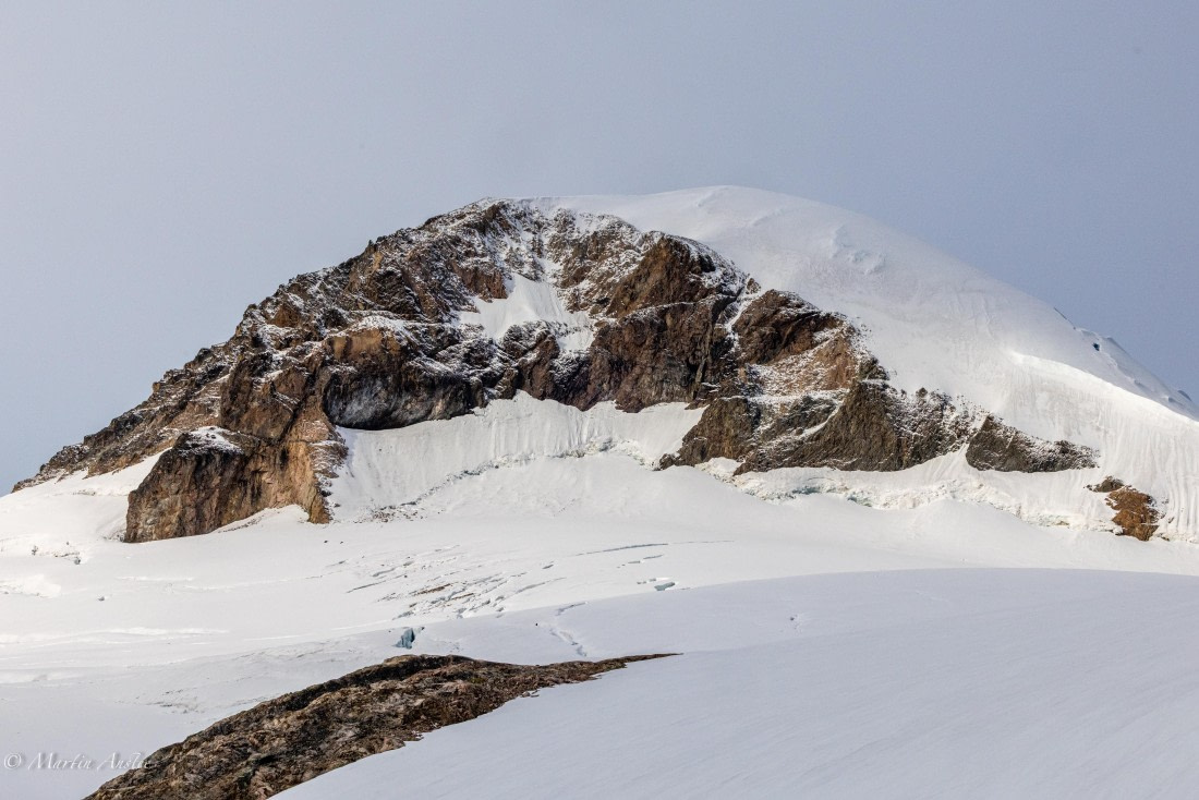 HDS31-26, Day 4, Martin (18) © Martin Anstee - Oceanwide Expeditions.jpg
