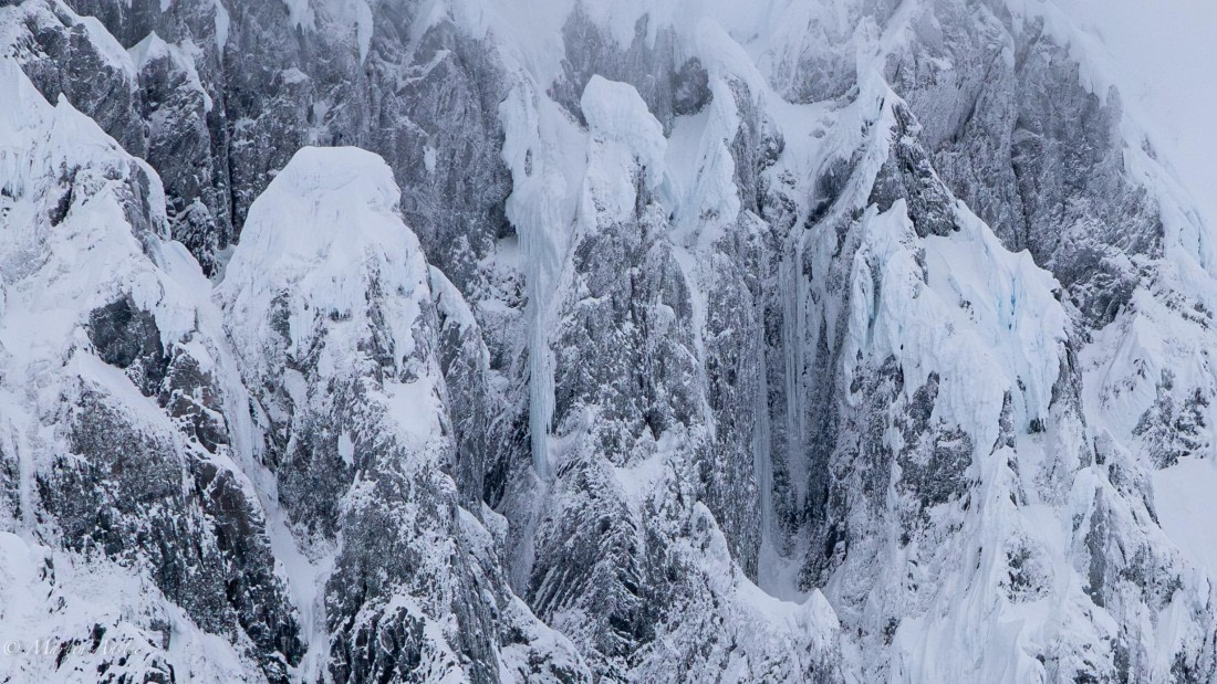 HDS31-26, Day 5, Martin (2) © Martin Anstee - Oceanwide Expeditions.jpg