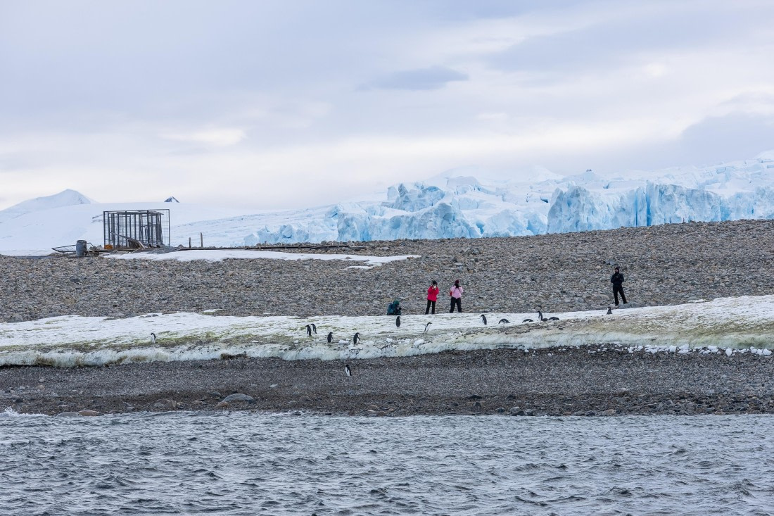 HDS31-26, Day 6, 5D5A1088 © Koen Jongerling - Oceanwide Expeditions.jpg