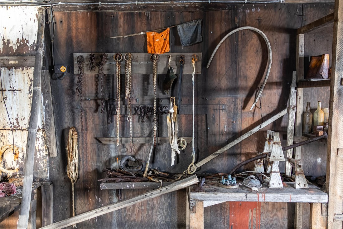 HDS31-26, Day 6, 5D5A1104 © Koen Jongerling - Oceanwide Expeditions.jpg