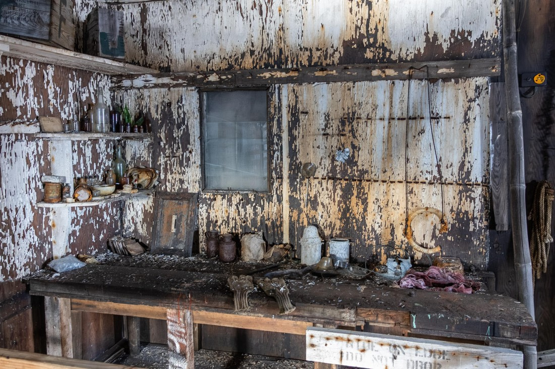 HDS31-26, Day 6, 5D5A1106 © Koen Jongerling - Oceanwide Expeditions.jpg