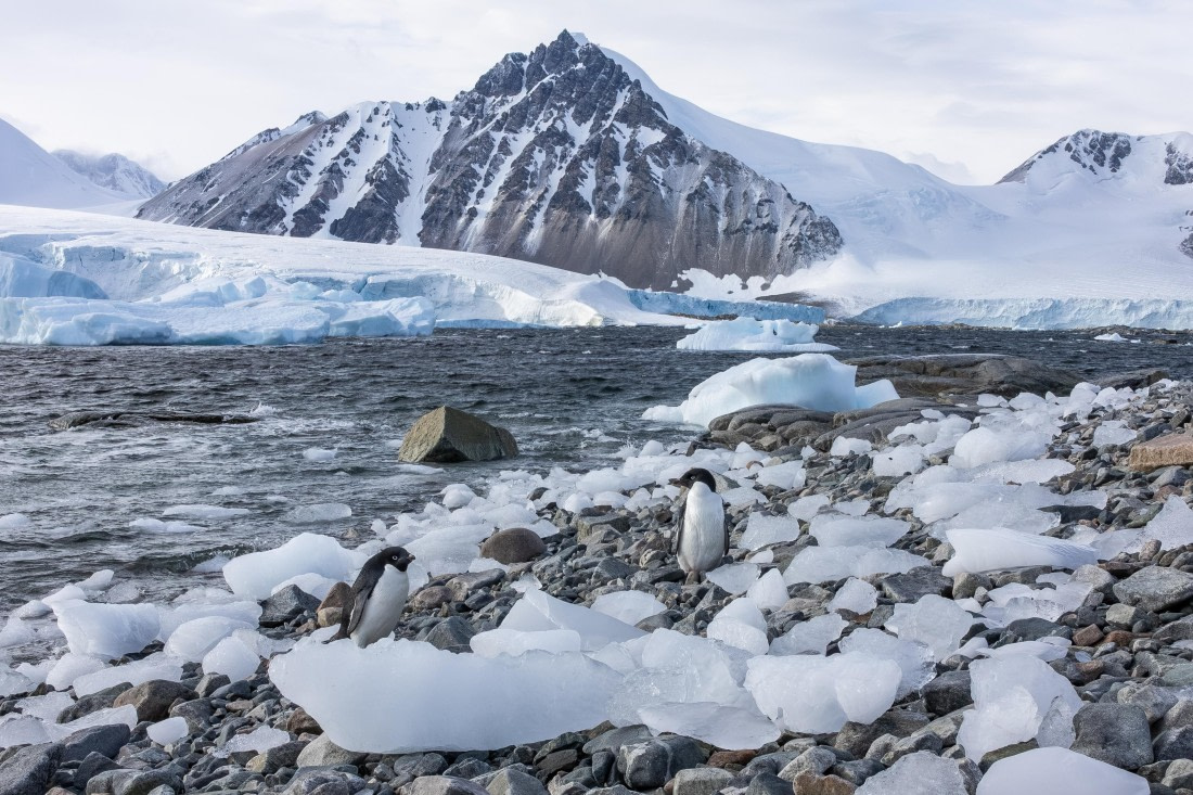 HDS31-26, Day 6, 5D5A1115 © Koen Jongerling - Oceanwide Expeditions.jpg