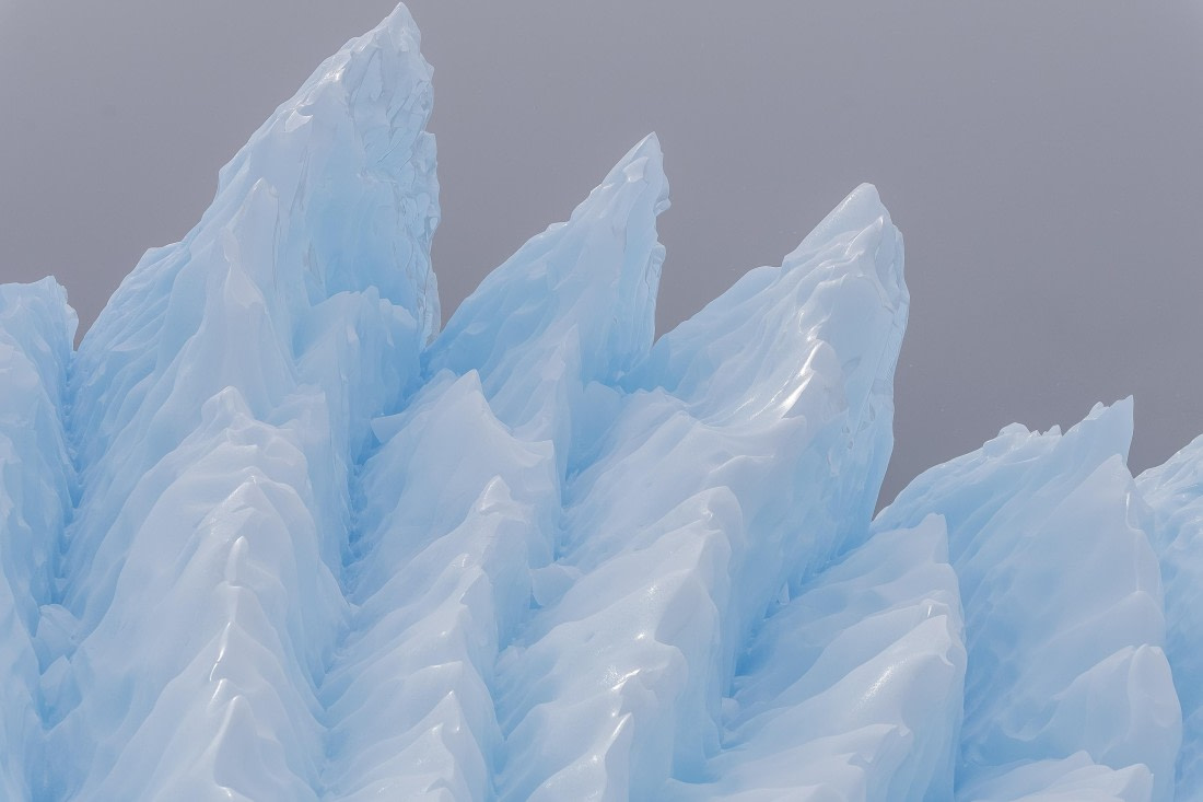 HDS31-26, Day 7, 5D5A1180 © Koen Jongerling - Oceanwide Expeditions.jpg