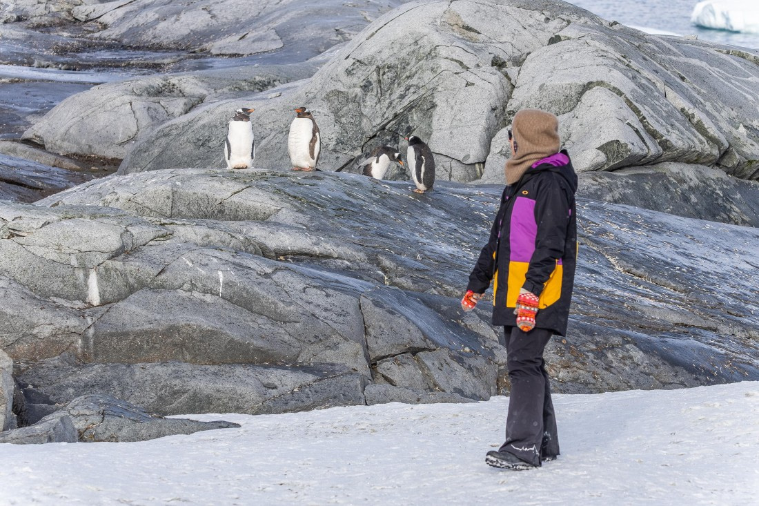 HDS31-26, Day 7, 5D5A1203 © Koen Jongerling - Oceanwide Expeditions.jpg