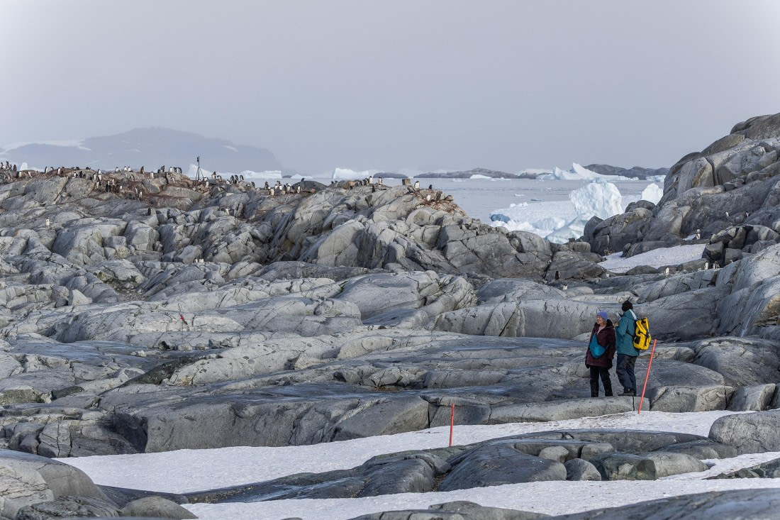 HDS31-26, Day 7, 5D5A1205 © Koen Jongerling - Oceanwide Expeditions.jpg