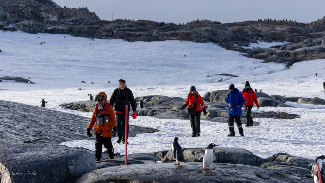 HDS31-26, Day 7, Martin (15) © Martin Anstee - Oceanwide Expeditions.jpg