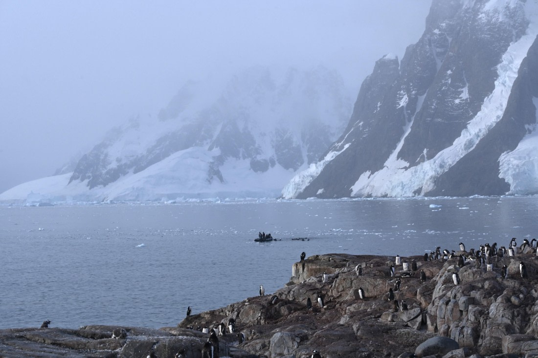 HDS31-26, Day 7, SAS_7733 © Saskia van der Meij - Oceanwide Expeditions.JPG
