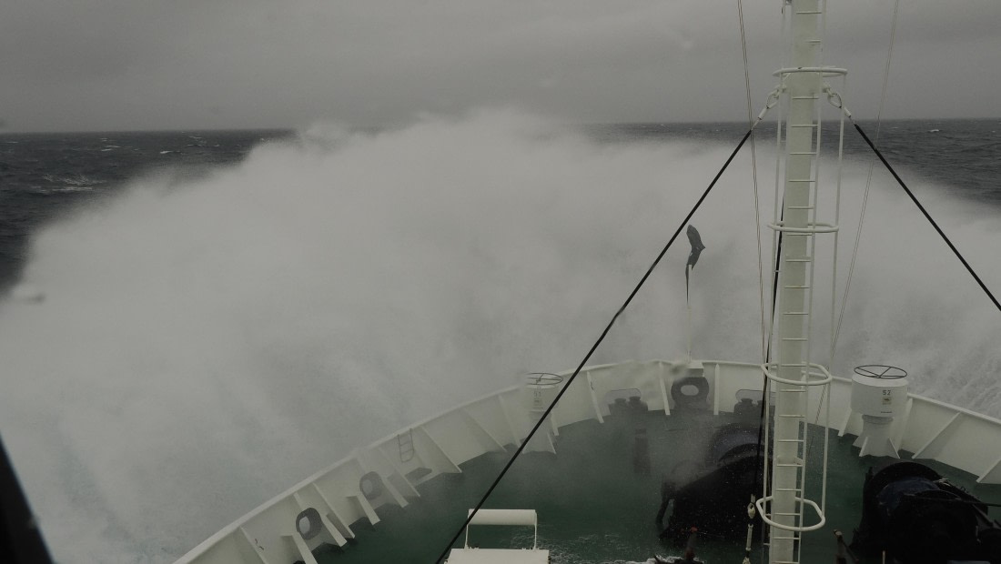 OTL31a26, Day 2, APMG0006.JPG © Andy Perkins - Oceanwide Expeditions.JPG