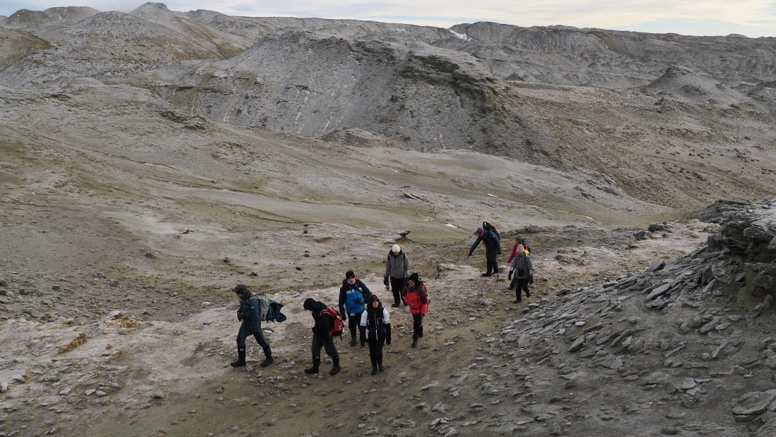 OTL31a26, Day 4, APMG0140.JPG © Andy Perkins - Oceanwide Expeditions.JPG