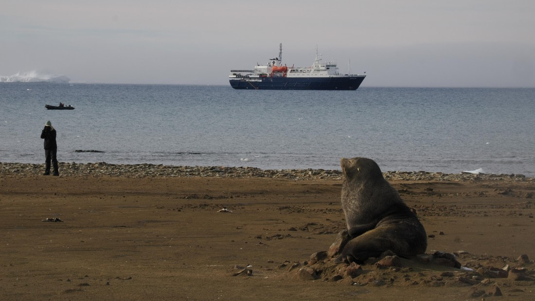 OTL31a26, Day 4, APMG0170.JPG © Andy Perkins - Oceanwide Expeditions.JPG