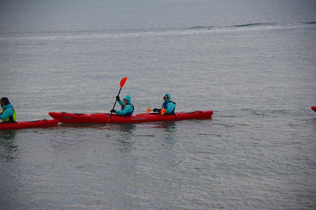 OTL31a26, Day 4, IMGP5588.JPG © Hélène de Méringo - Oceanwide Expeditions.JPG