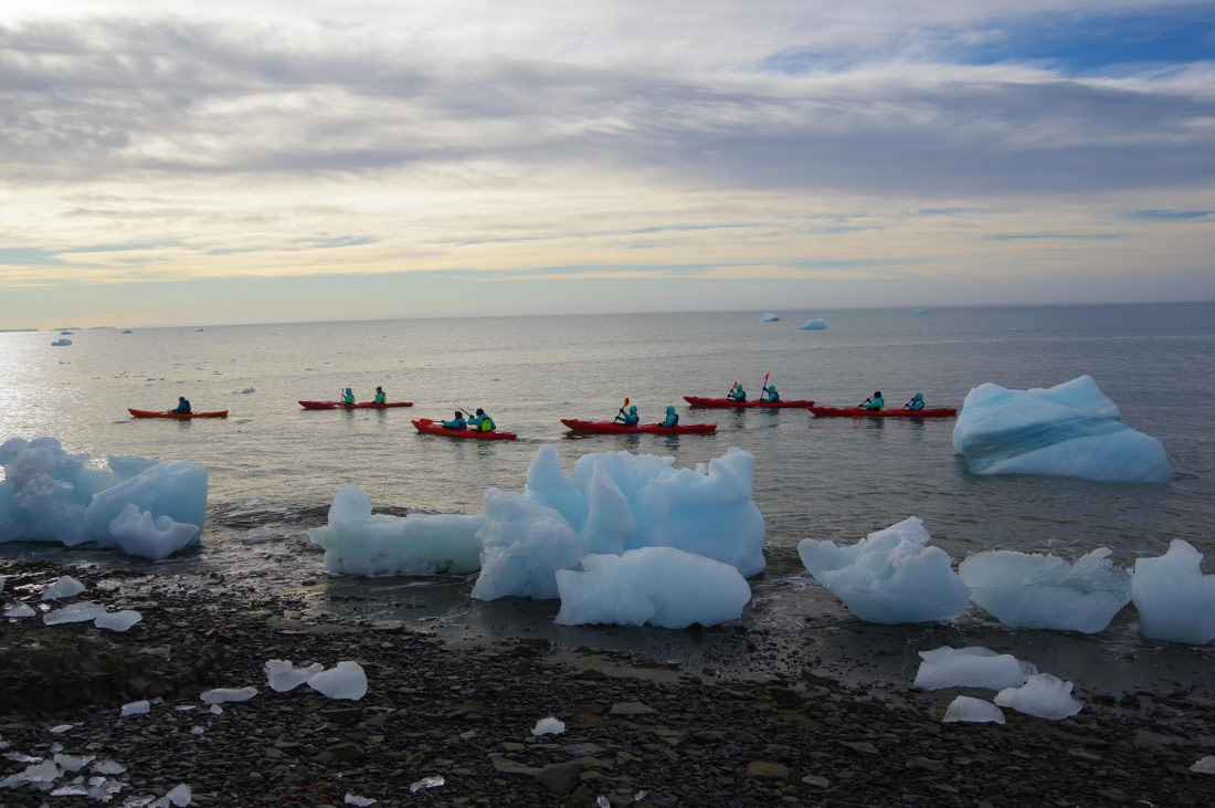 OTL31a26, Day 4, IMGP5590.JPG © Hélène de Méringo - Oceanwide Expeditions.JPG