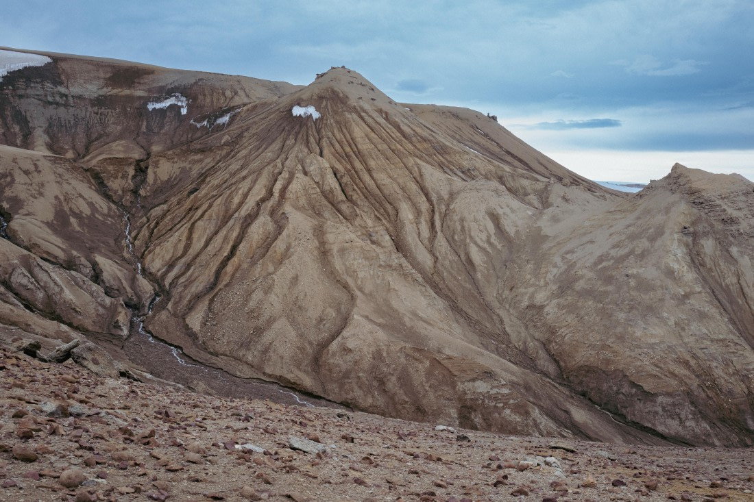 OTL31a26, Day 4, L1280087.jpg © Unknown Photographer - Oceanwide Expeditions.jpg