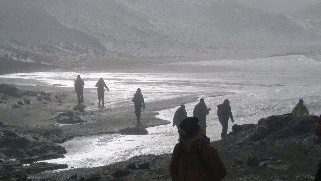 OTL31a26, Day 4, Peguin Is 20Mar26 Dave 1.JPG © Unknown Photographer - Oceanwide Expeditions.JPG