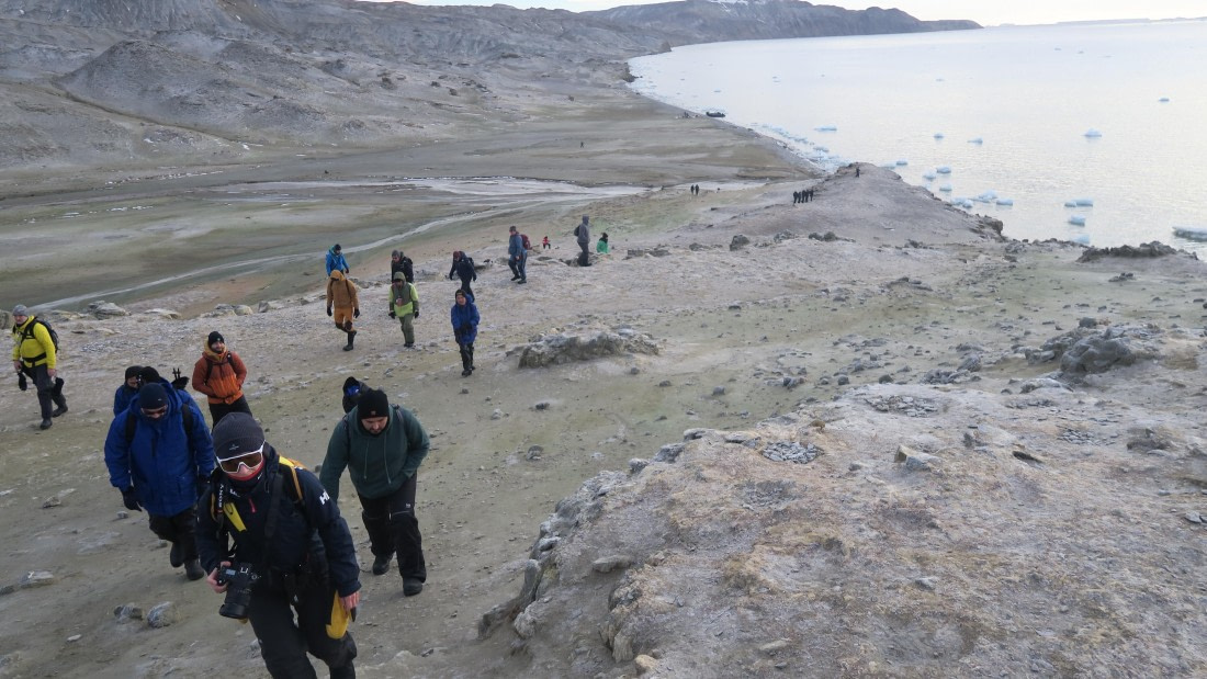 OTL31a26, Day 4, Penguin Is 20Mar26 Dave 6.JPG © Unknown Photographer - Oceanwide Expeditions.JPG