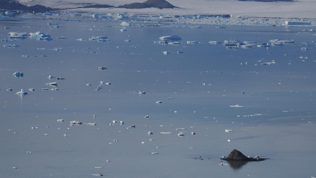 OTL31a26, Day 5, APMG0204.JPG © Andy Perkins - Oceanwide Expeditions.JPG