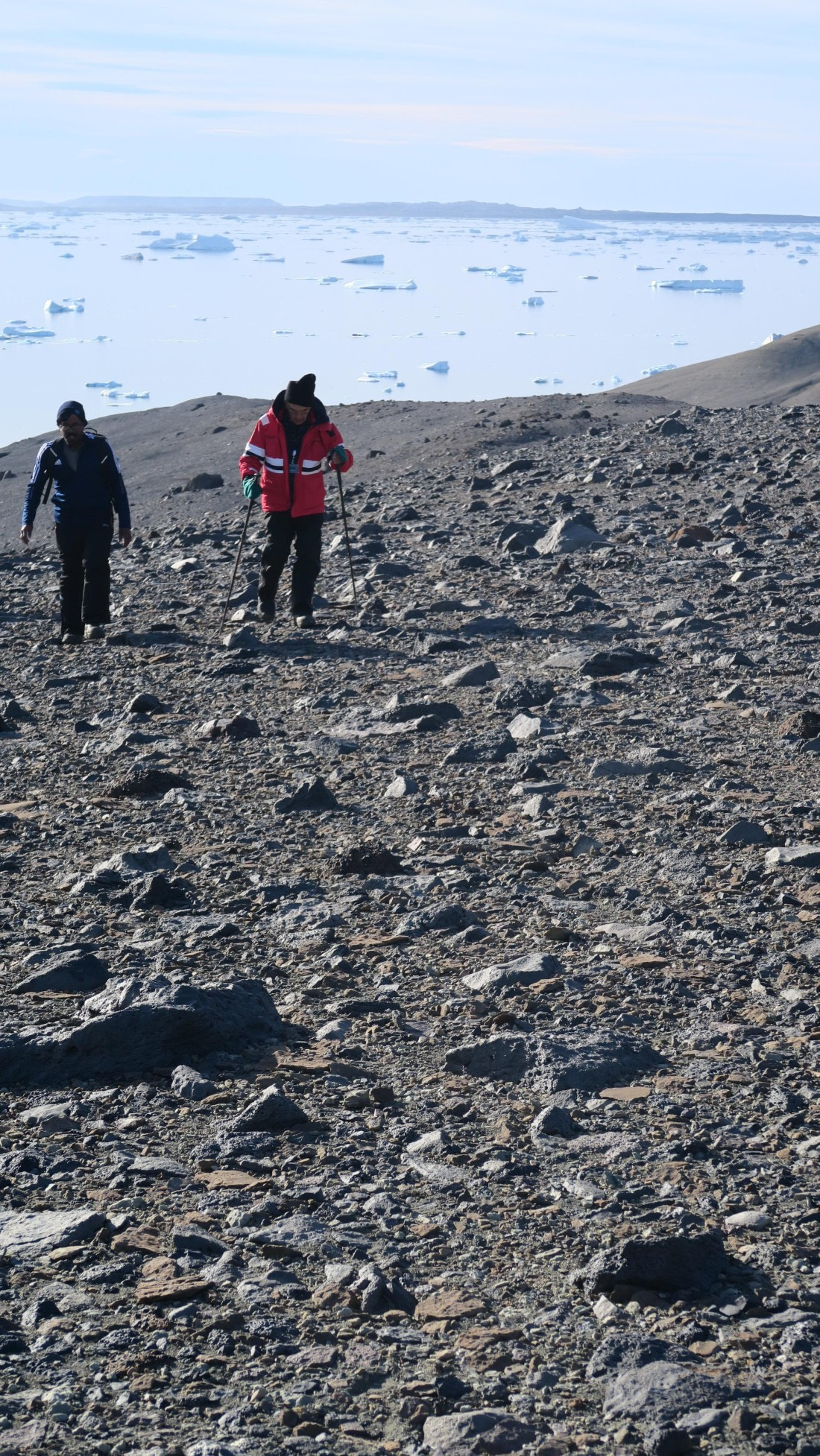 OTL31a26, Day 5, James Ross Island 21Mar AM Narly 1.JPG © Unknown Photographer - Oceanwide Expeditions.JPG