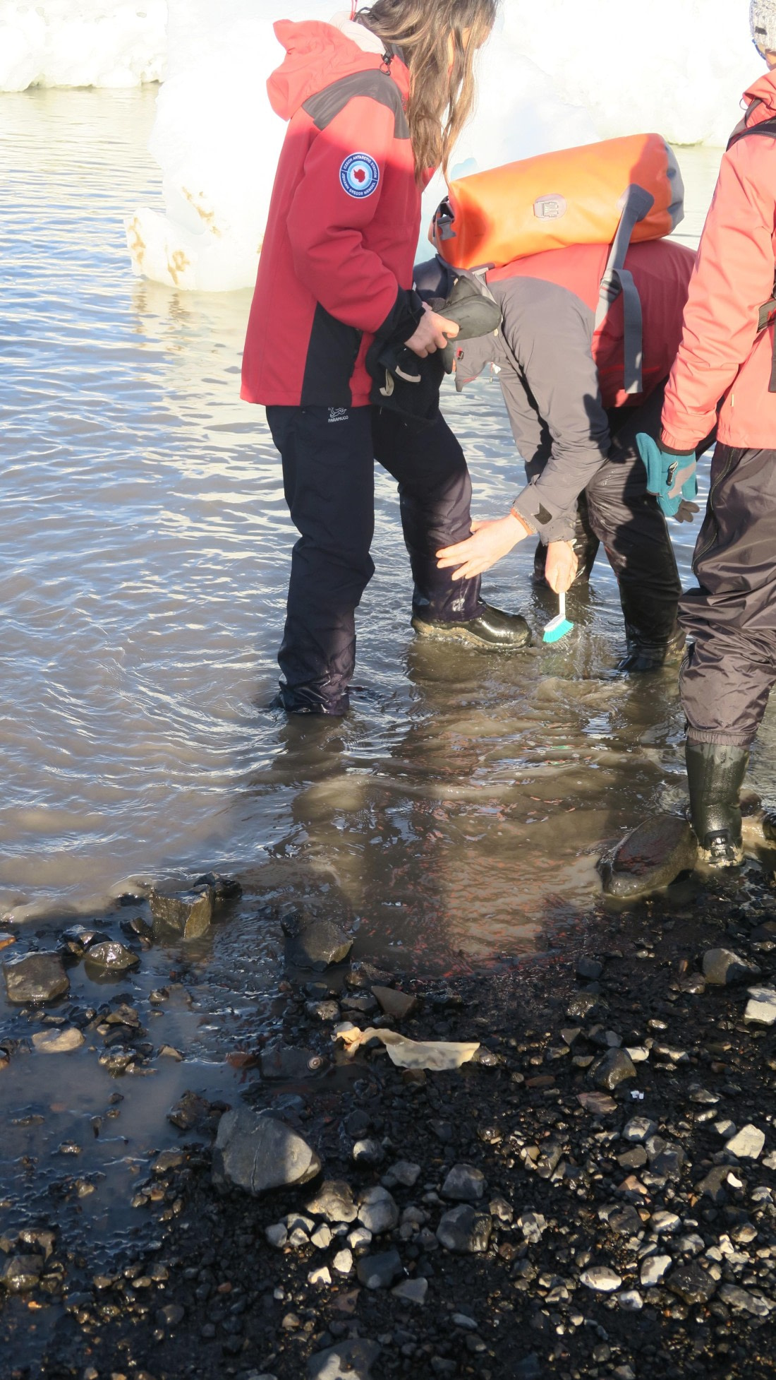 OTL31a26, Day 5, James Ross Island 21Mar PM Narly 4.JPG © Unknown Photographer - Oceanwide Expeditions.JPG