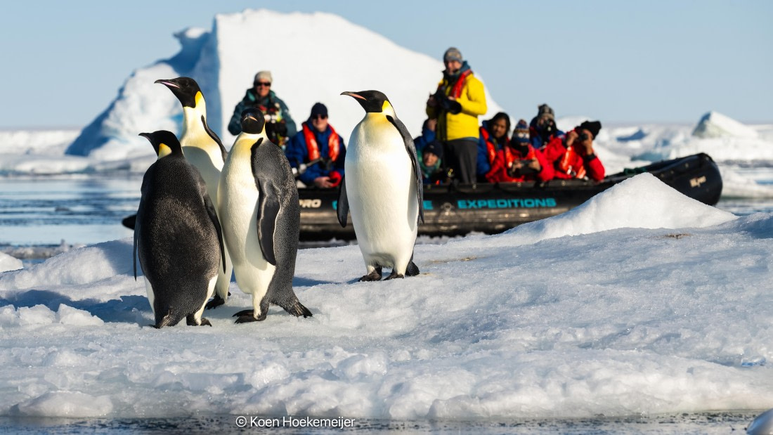 OTL31a26, Day 6, DSC_4974-Edit.jpg © Marco Rosso - Oceanwide Expeditions.jpg