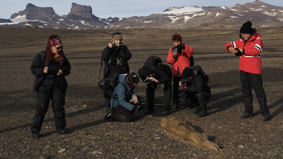 OTL31a26, Day 7, APMG0371.JPG © Andy Perkins - Oceanwide Expeditions.JPG