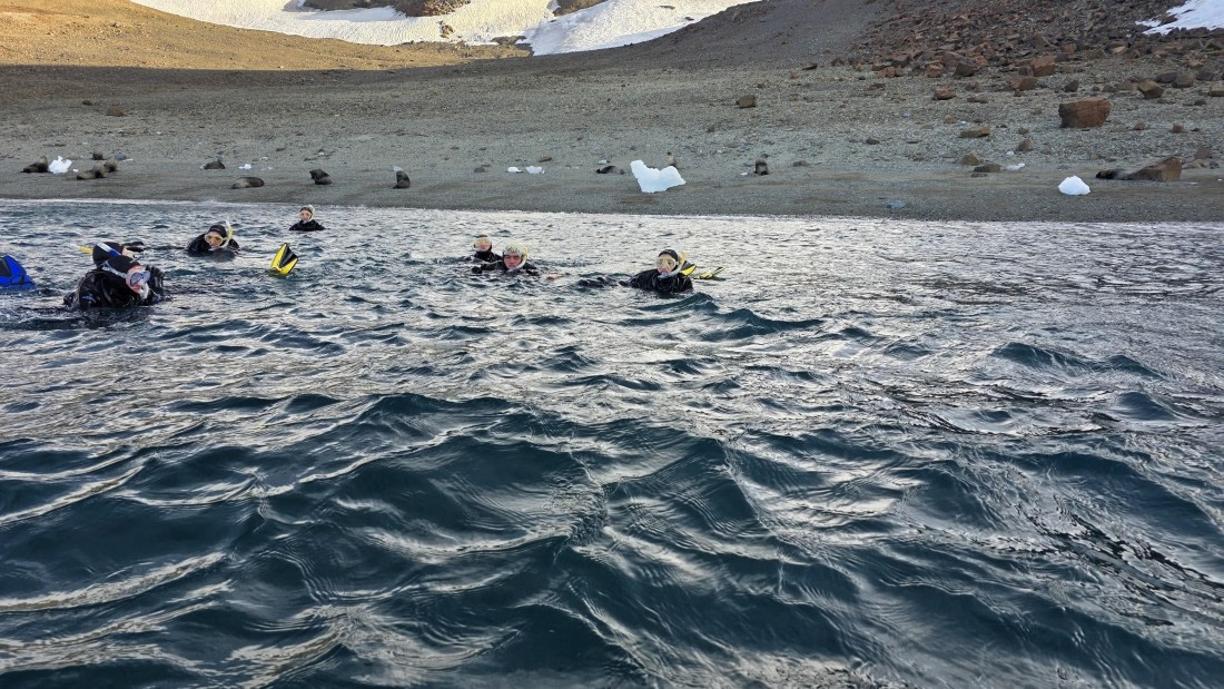 OTL31a26, Day 7, Crew Snorkel 20260323_160518.jpg © Sid Dewfall - Oceanwide Expeditions.jpg