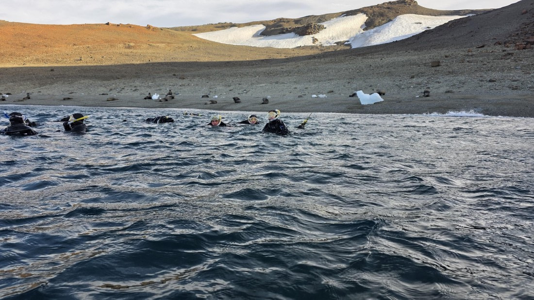 OTL31a26, Day 7, Crew Snorkel 20260323_160523.jpg © Sid Dewfall - Oceanwide Expeditions.jpg