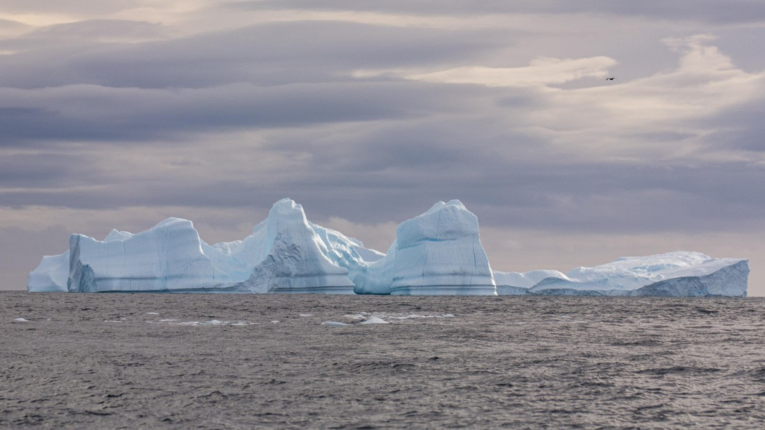 OTL31a26, Day 8, Marco (9).jpg © Marco Rosso - Oceanwide Expeditions.jpg