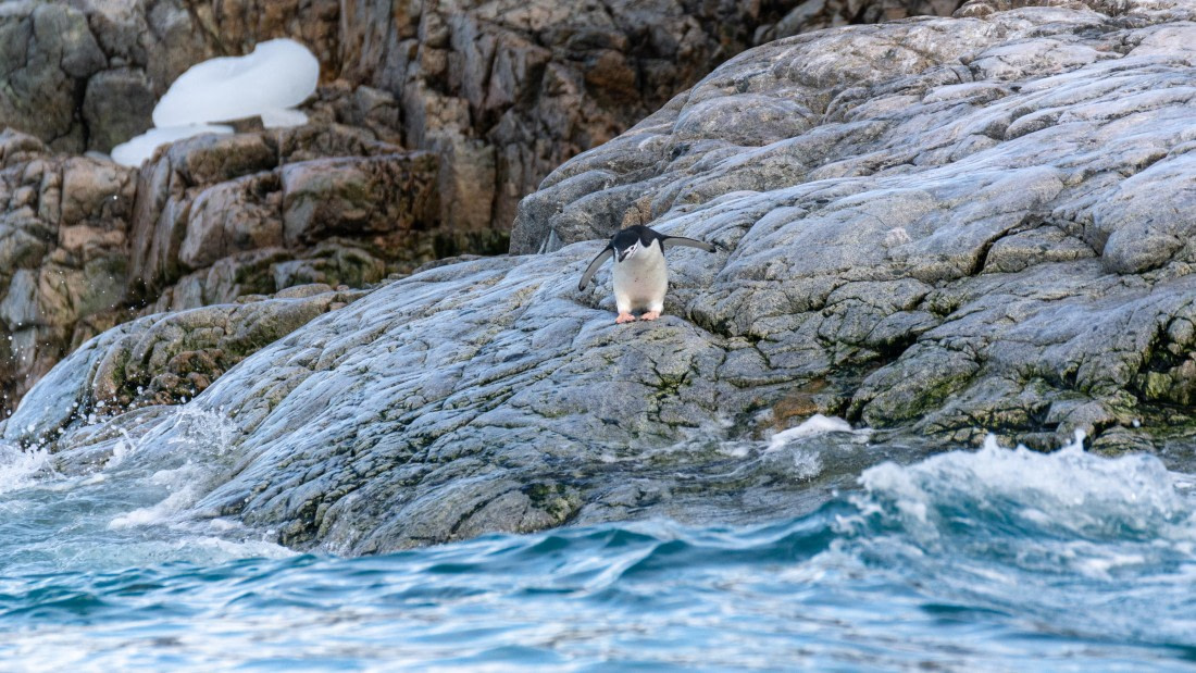 OTL31a26, Day 8, Marco (14).jpg © Marco Rosso - Oceanwide Expeditions.jpg