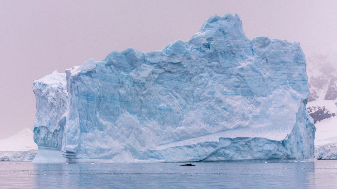 OTL31a26, Day 9, Marco (2).jpg © Marco Rosso - Oceanwide Expeditions.jpg