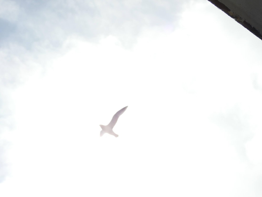 Flying to the Heavens