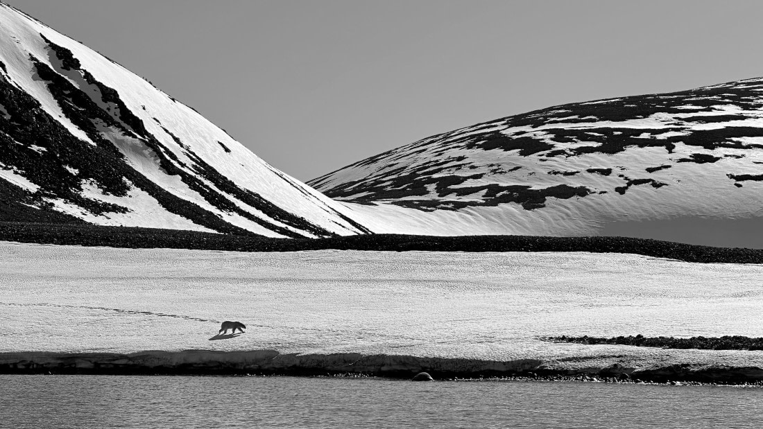 OTL03-26, Day 4, IMG_1312© Allan White - Oceanwide Expeditions.jpeg