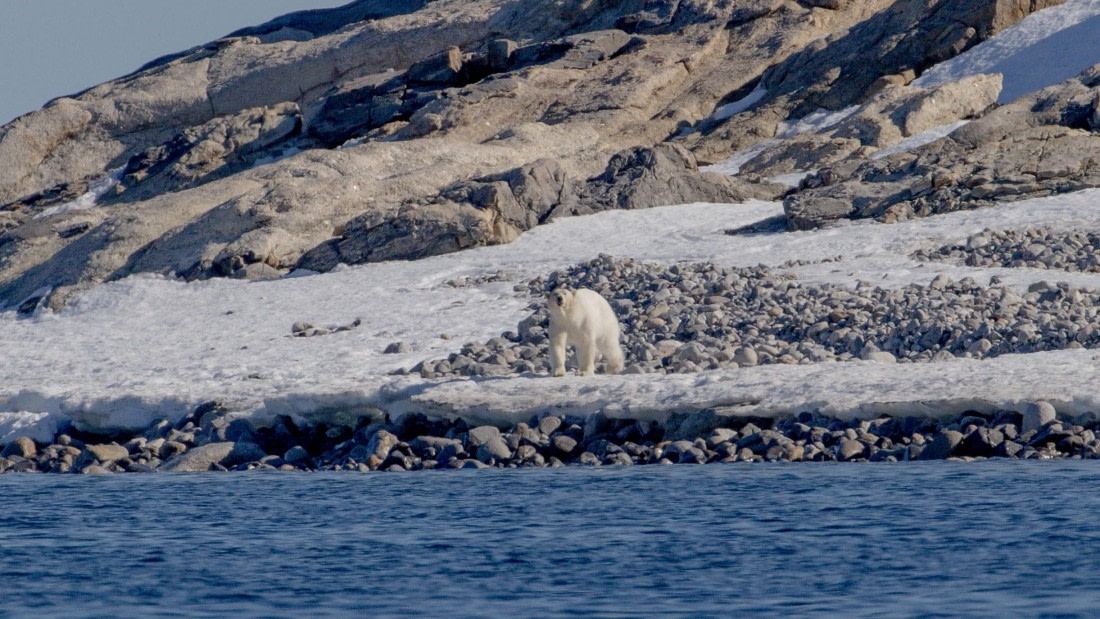 OTL03-26, Day 4, PippaLow-5456© Pippa Low - Oceanwide Expeditions.jpg