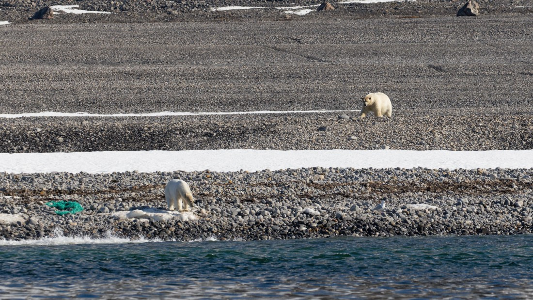 OTL03-26, Day 4, PippaLow-6148© Pippa Low - Oceanwide Expeditions.jpg