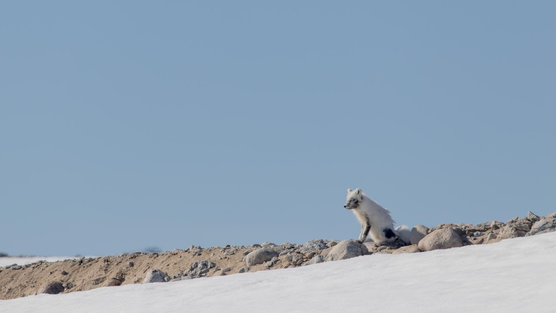 OTL03-26, Day 4, PippaLow-6430© Pippa Low - Oceanwide Expeditions.jpg
