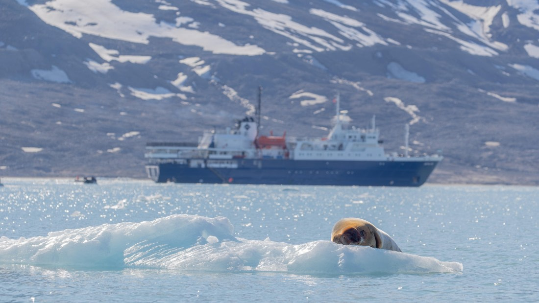 OTL03-26, Day 5, PippaLow-6576© Pippa Low - Oceanwide Expeditions.jpg