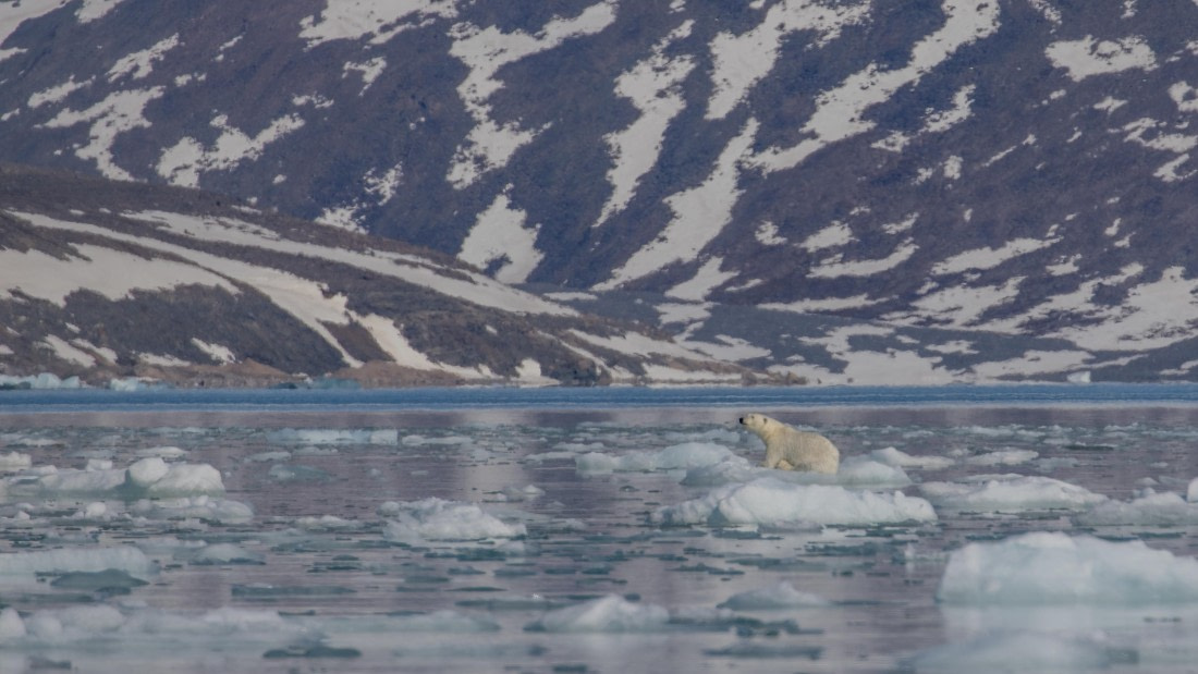 OTL03-26, Day 5, PippaLow-7379© Pippa Low - Oceanwide Expeditions.jpg