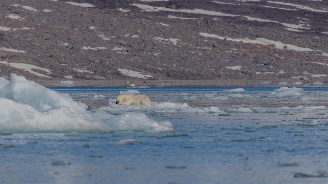 OTL03-26, Day 5, PippaLow-7764© Pippa Low - Oceanwide Expeditions.jpg