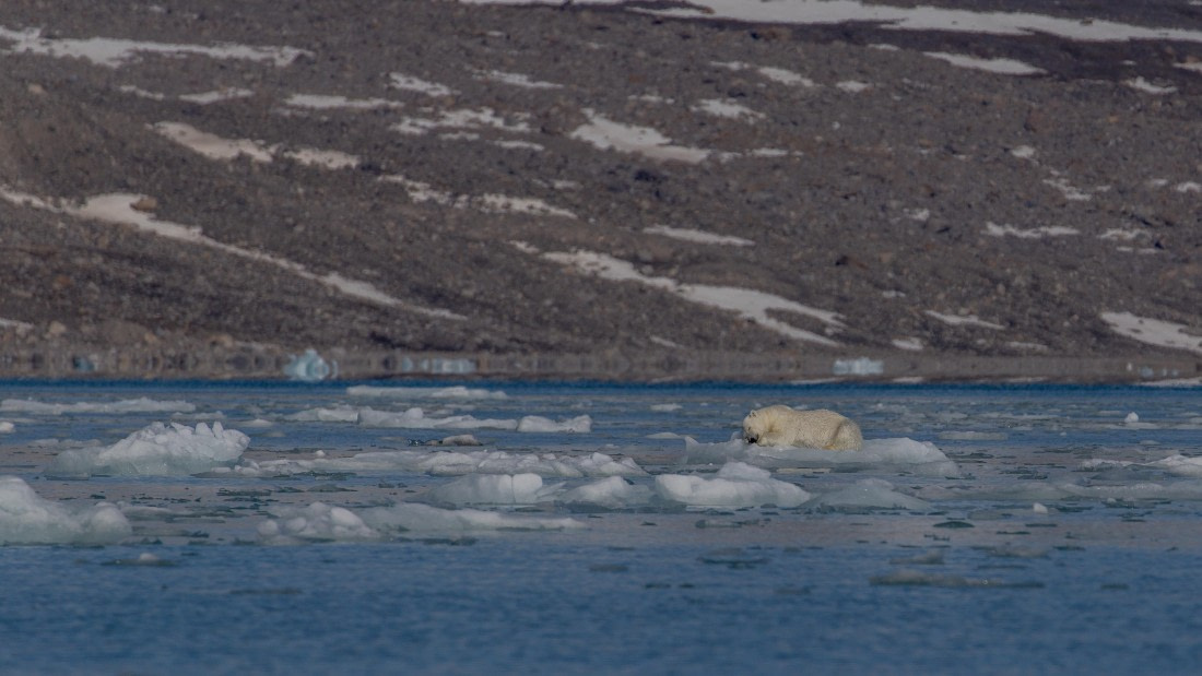 OTL03-26, Day 5, PippaLow-7806© Pippa Low - Oceanwide Expeditions.jpg